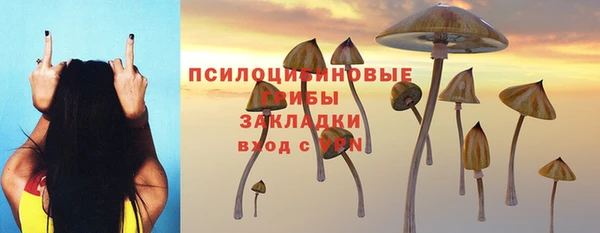 СК Кинешма