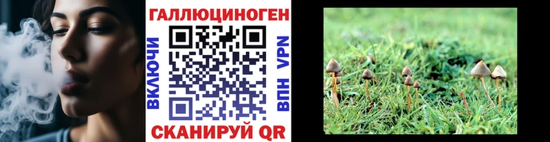 Купить закладки  Нижняя Салда  Псилоцибиновые грибы MAGIC MUSHROOMS 